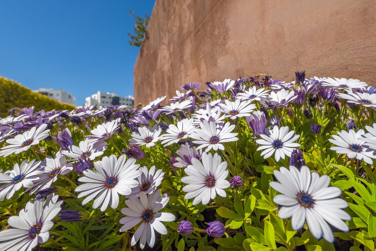 Appartement te koop in Fuengirola | 3 slaapkamers H5336815