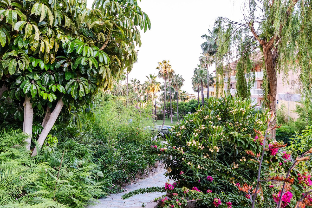 Property main view 36