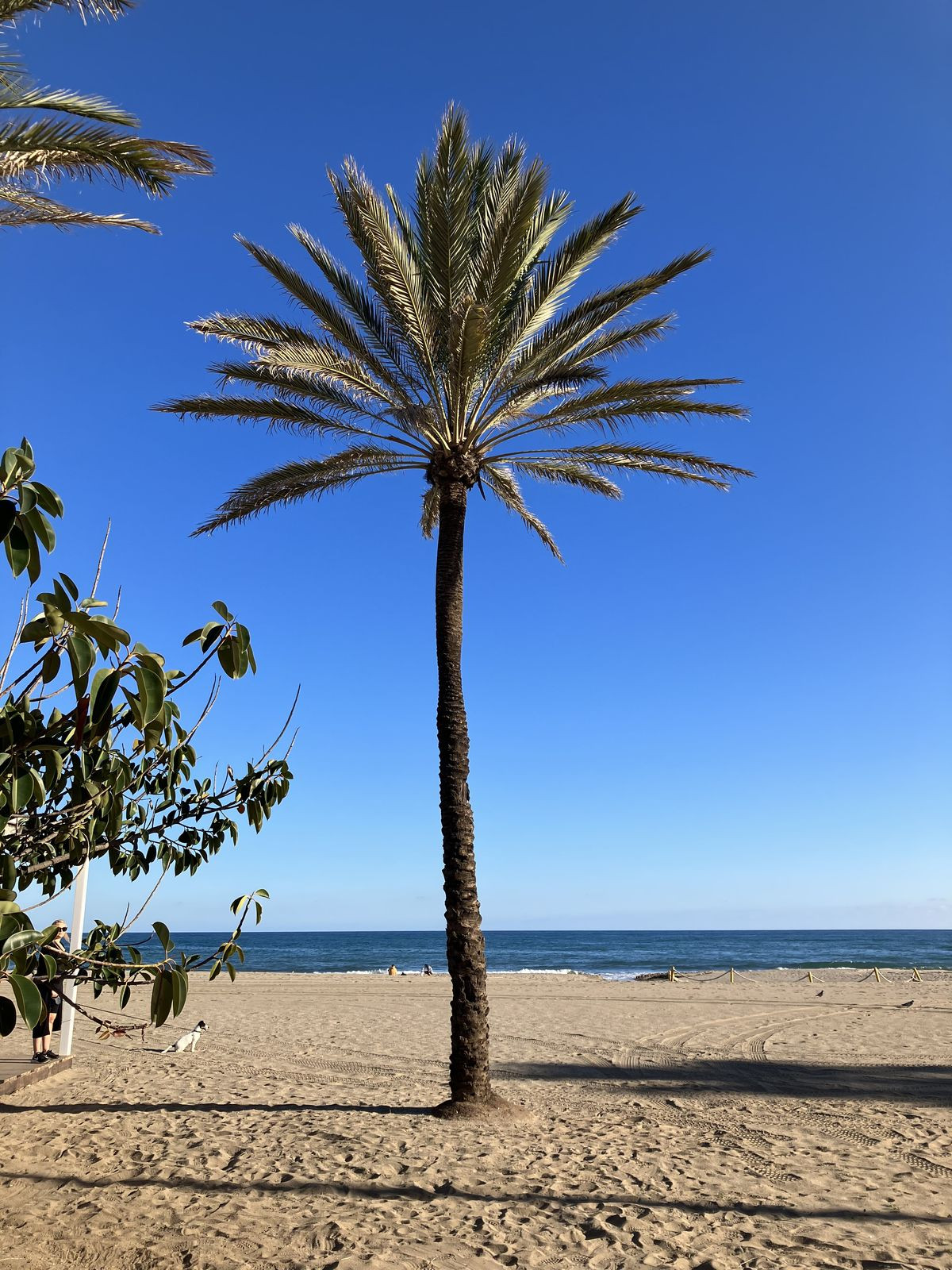 Appartement te koop in Fuengirola | 2 slaapkamers H5506969
