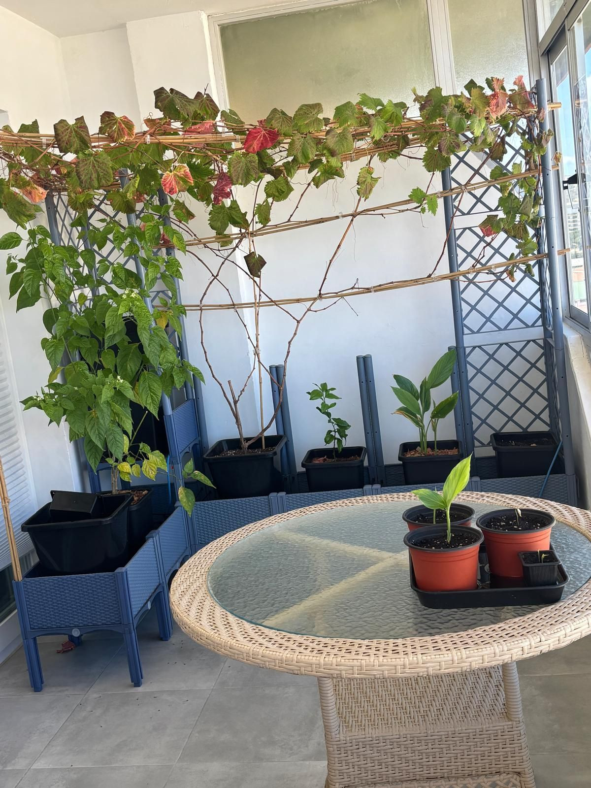 Appartement te koop in Fuengirola | 3 slaapkamers H5517016
