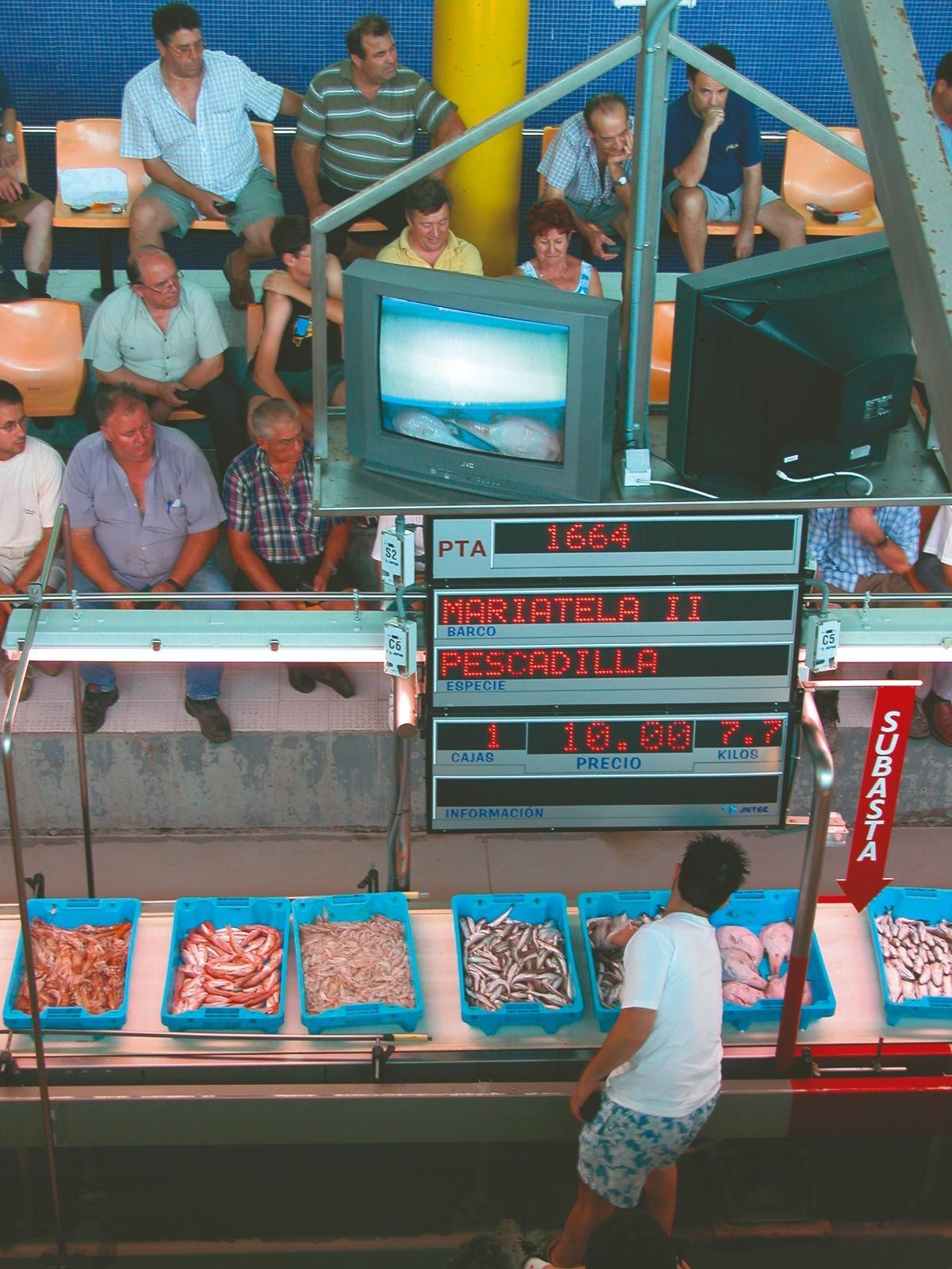 Property main view 26