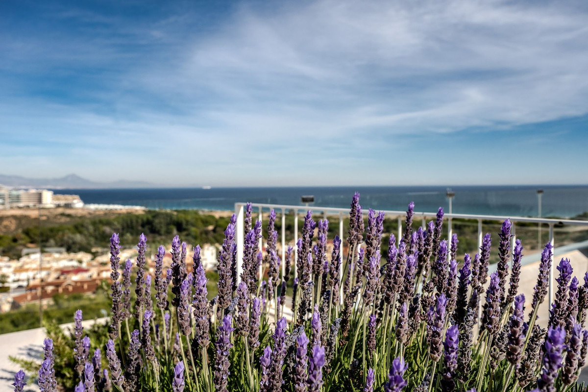 Penthouse te koop in Gran Alacant | 3 slaapkamers H5295757