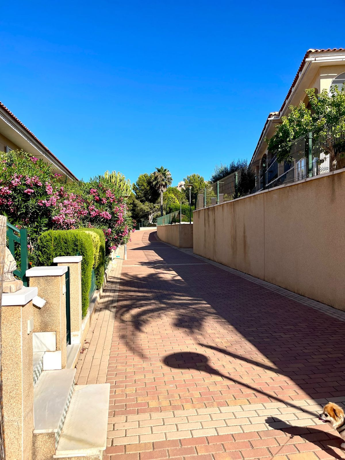 Property main view 30