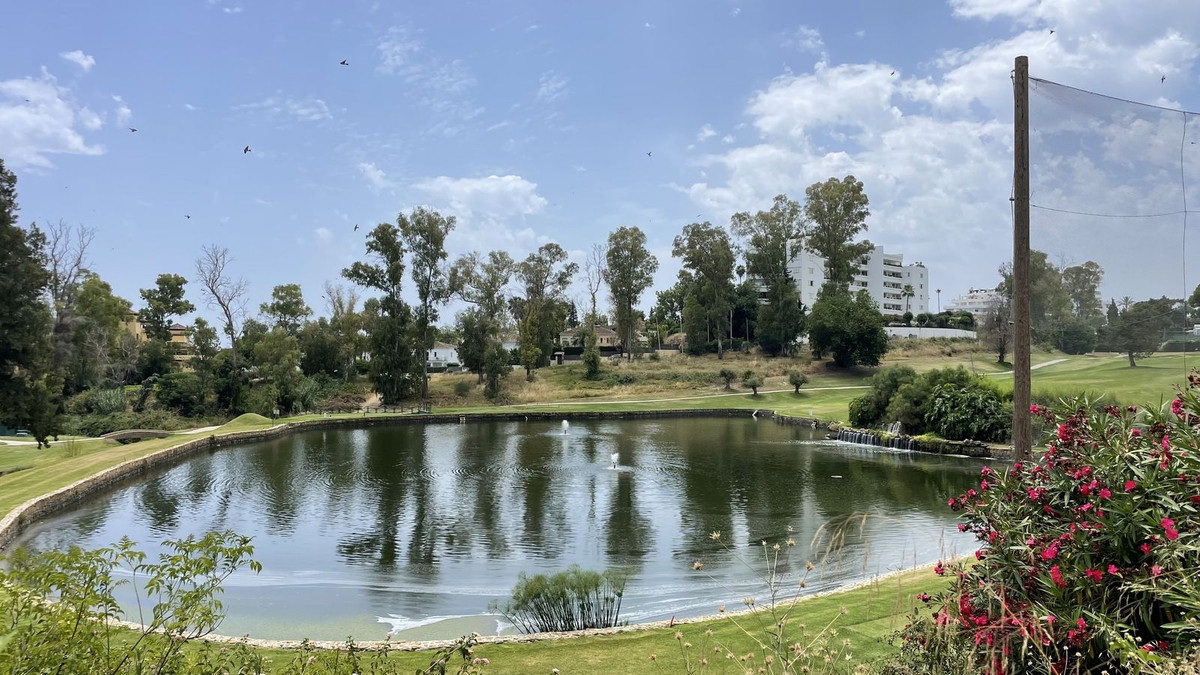 Property main view 3