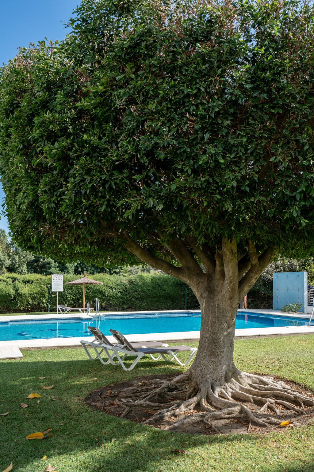 Property main view 22