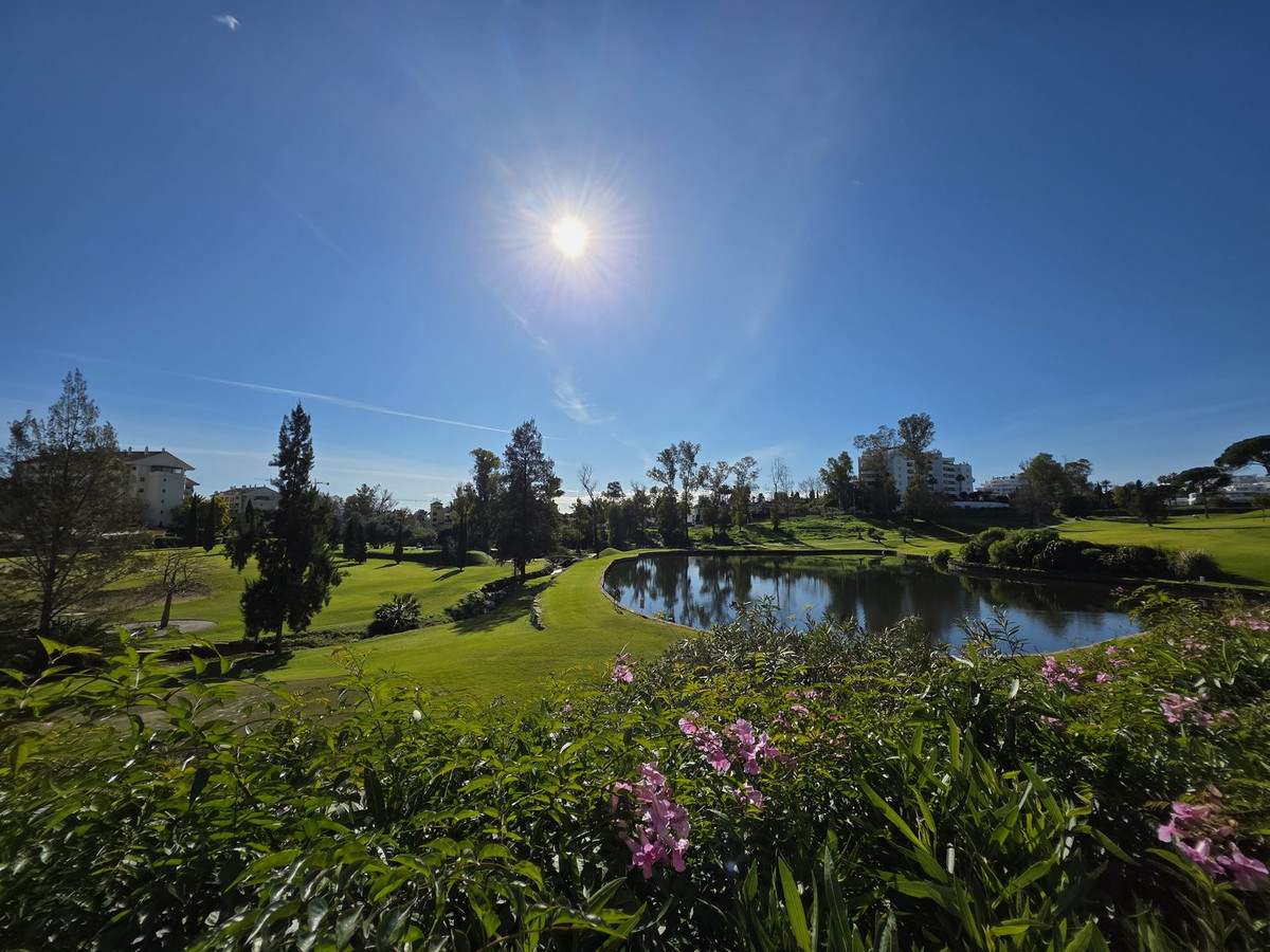 Property main view 2