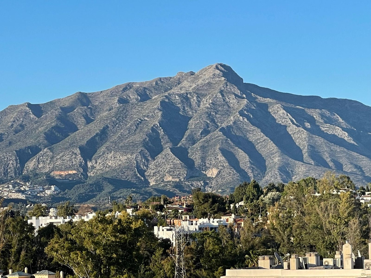 Property main view 2