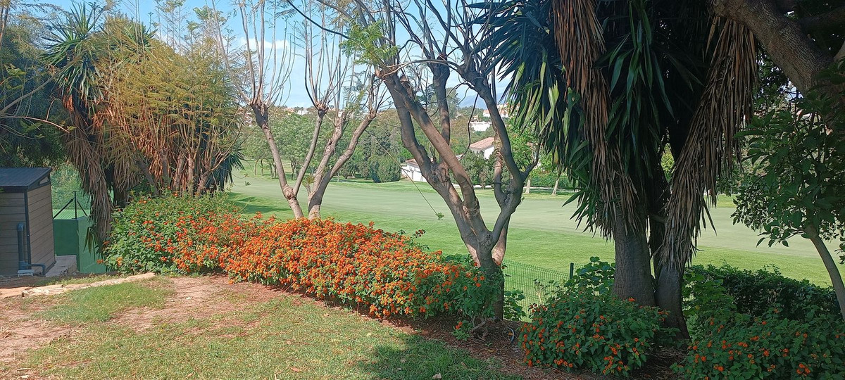 Property main view 32