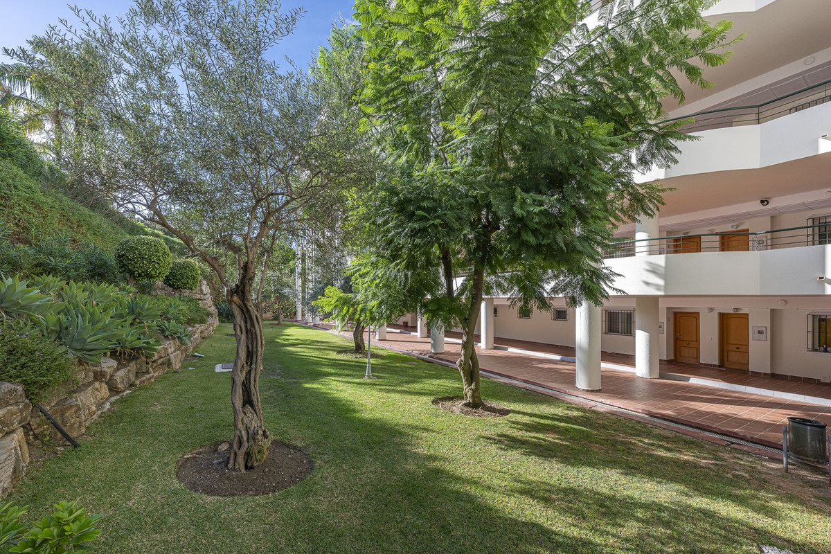 Property main view 44