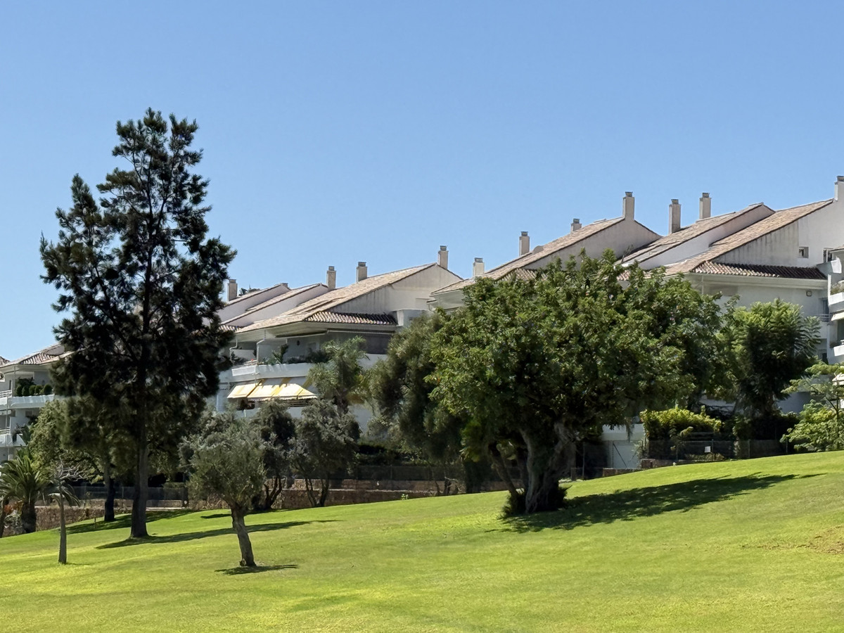 Property main view 31