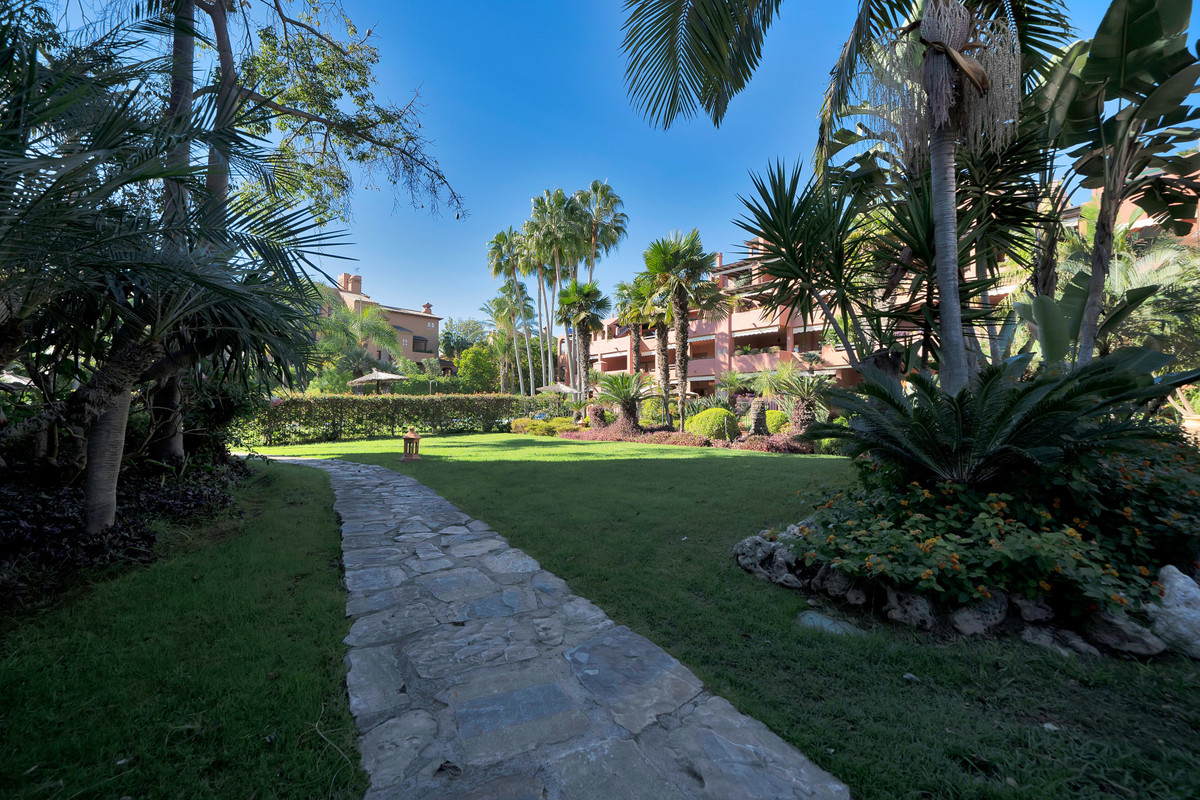 Property main view 50