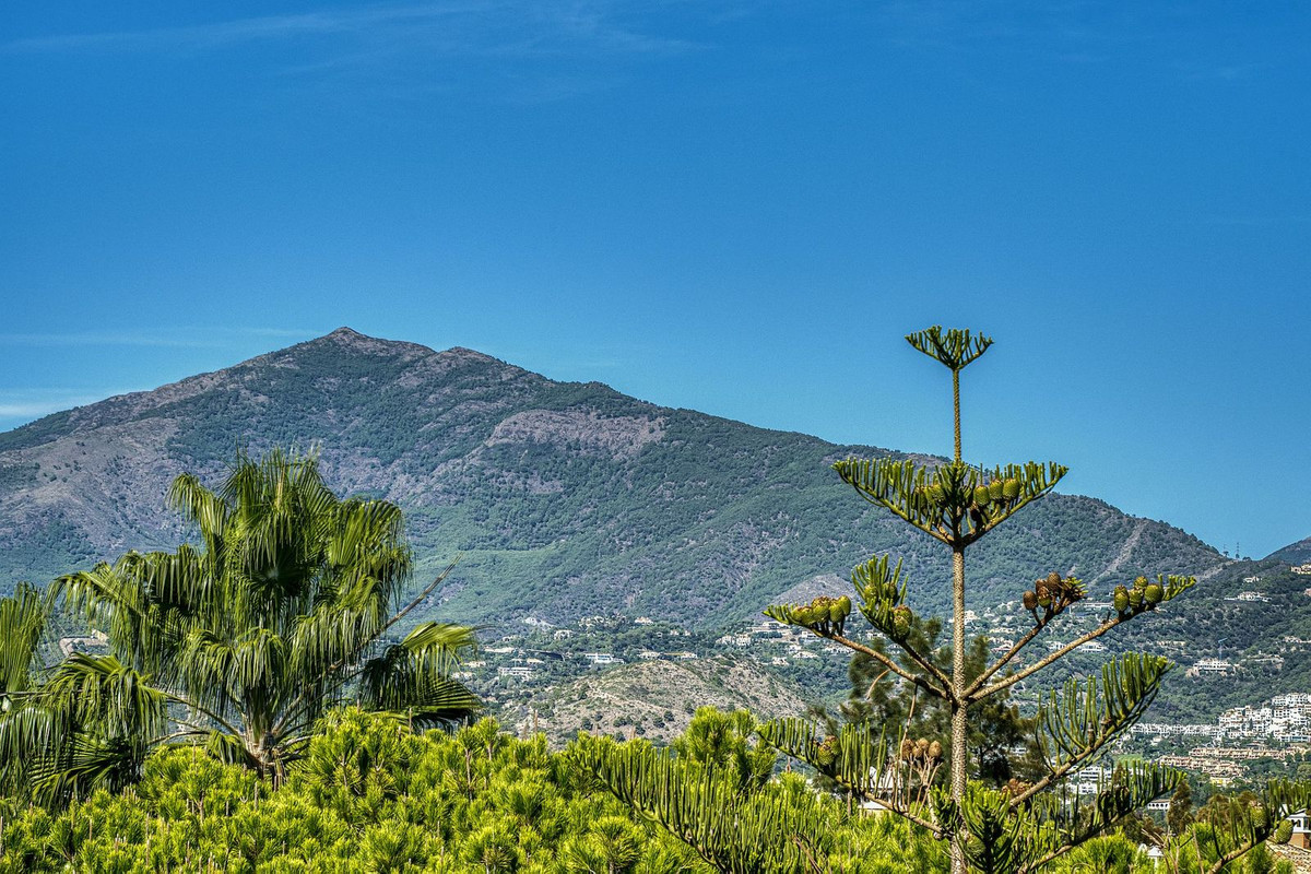 Property main view 49