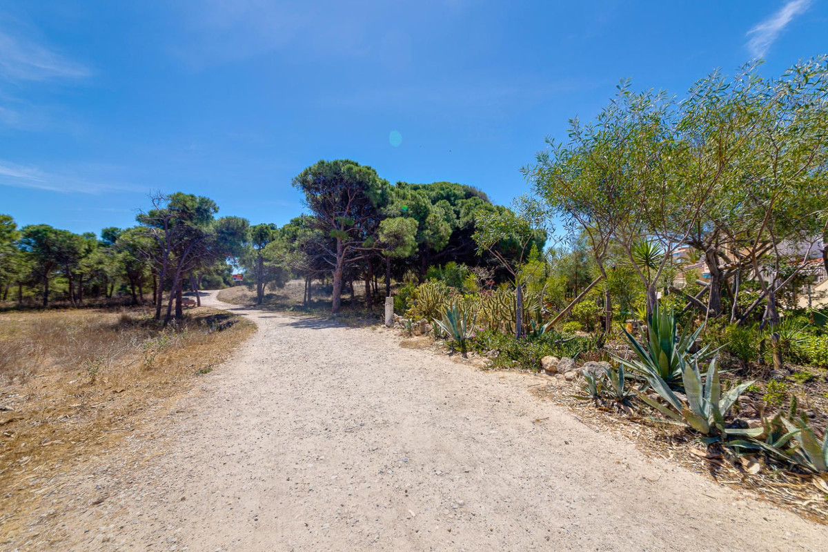 Property main view 42