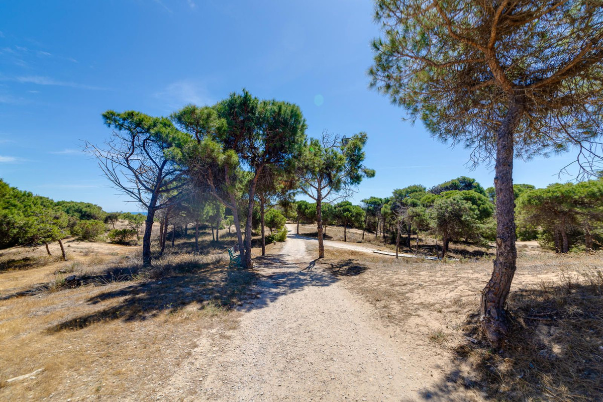 Property main view 43