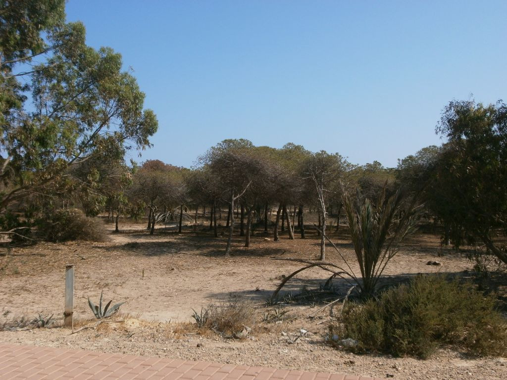 Property main view 30