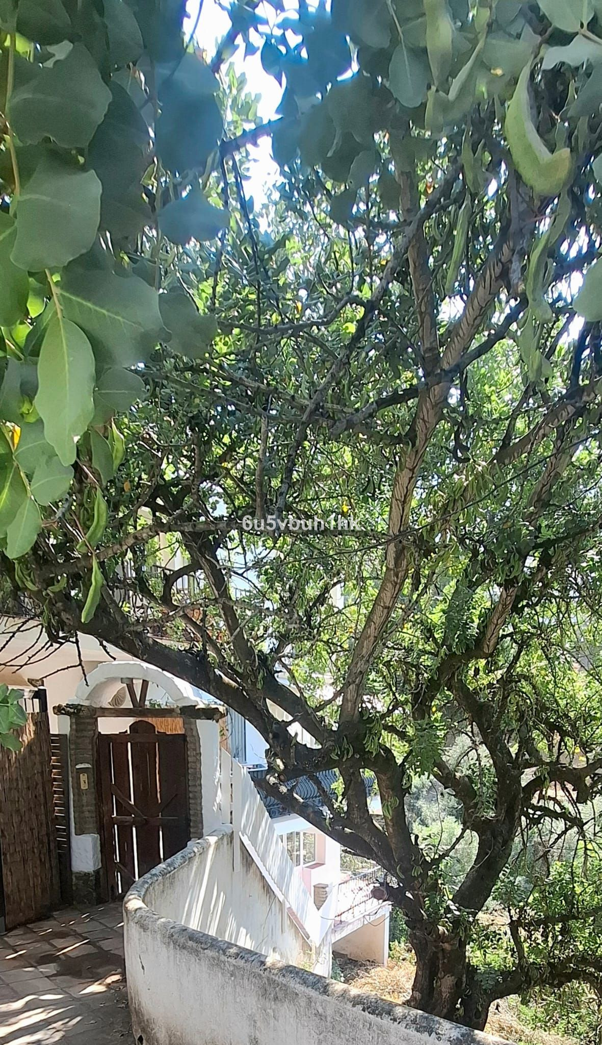 Property main view 3