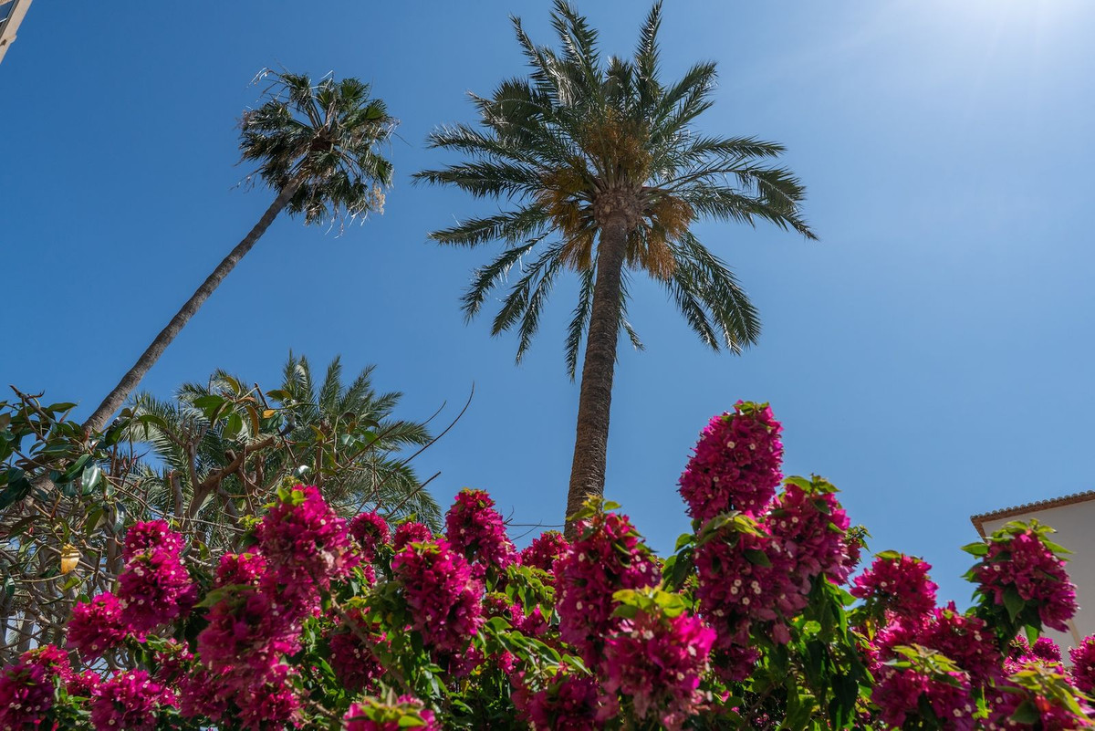 Property main view 38