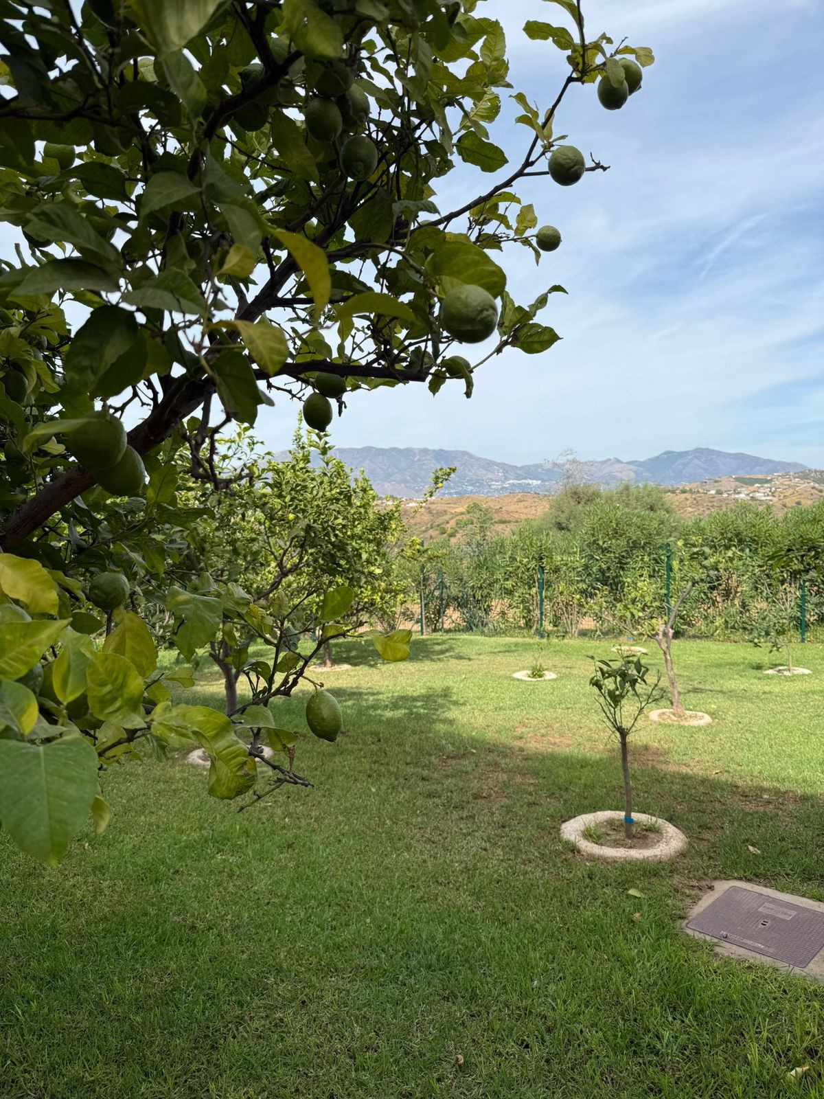 Property main view 24