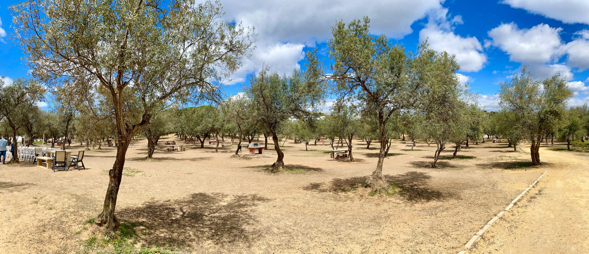 Appartement te koop in La Cala de Mijas | 2 slaapkamers H4018459