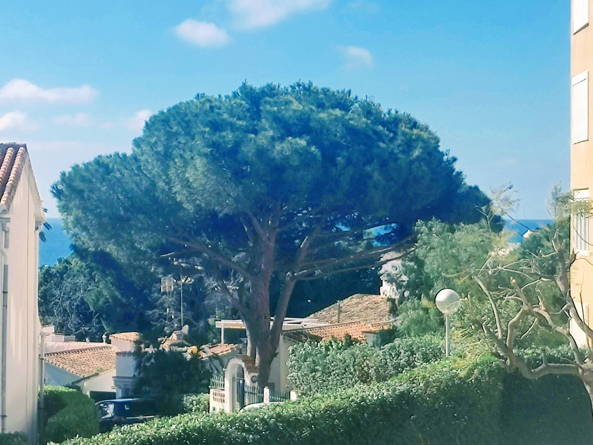 Appartement te koop in La Cala de Mijas | 0 slaapkamers H5077459