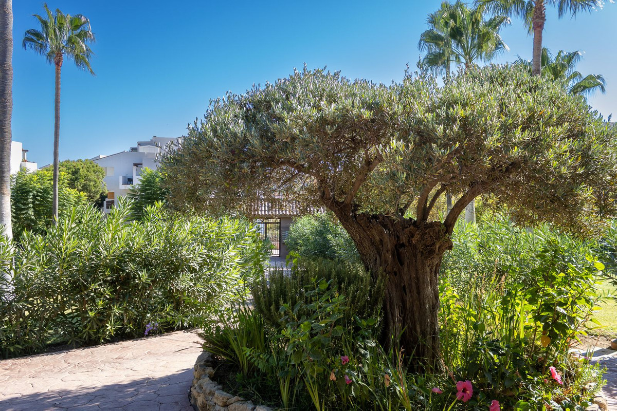 Property main view 32