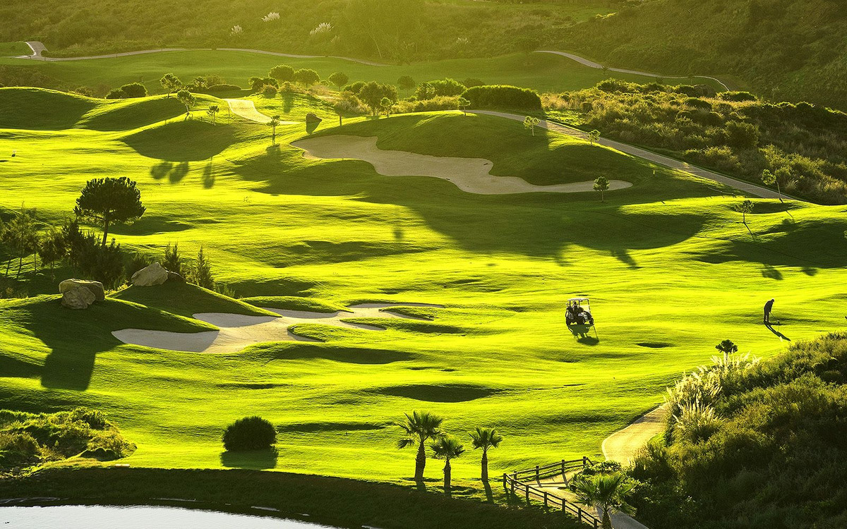 Property main view 50