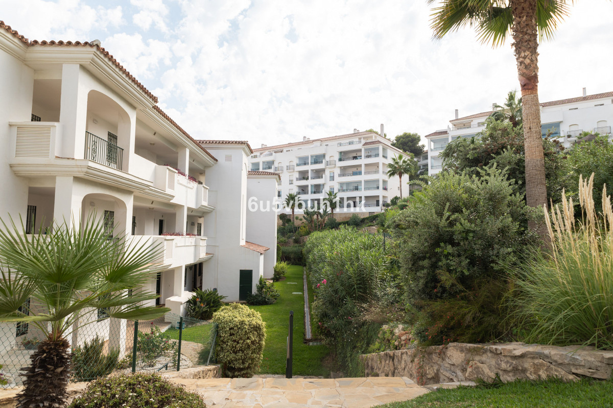 Property main view 19