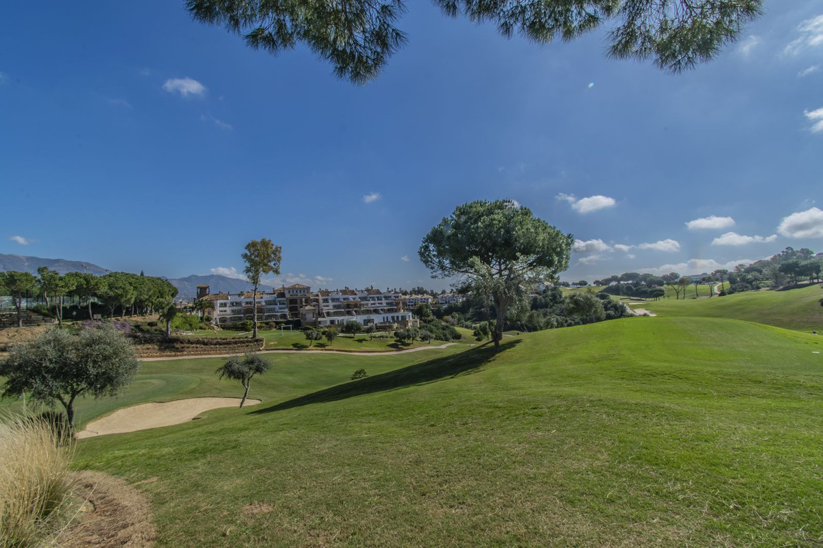 Property main view 41