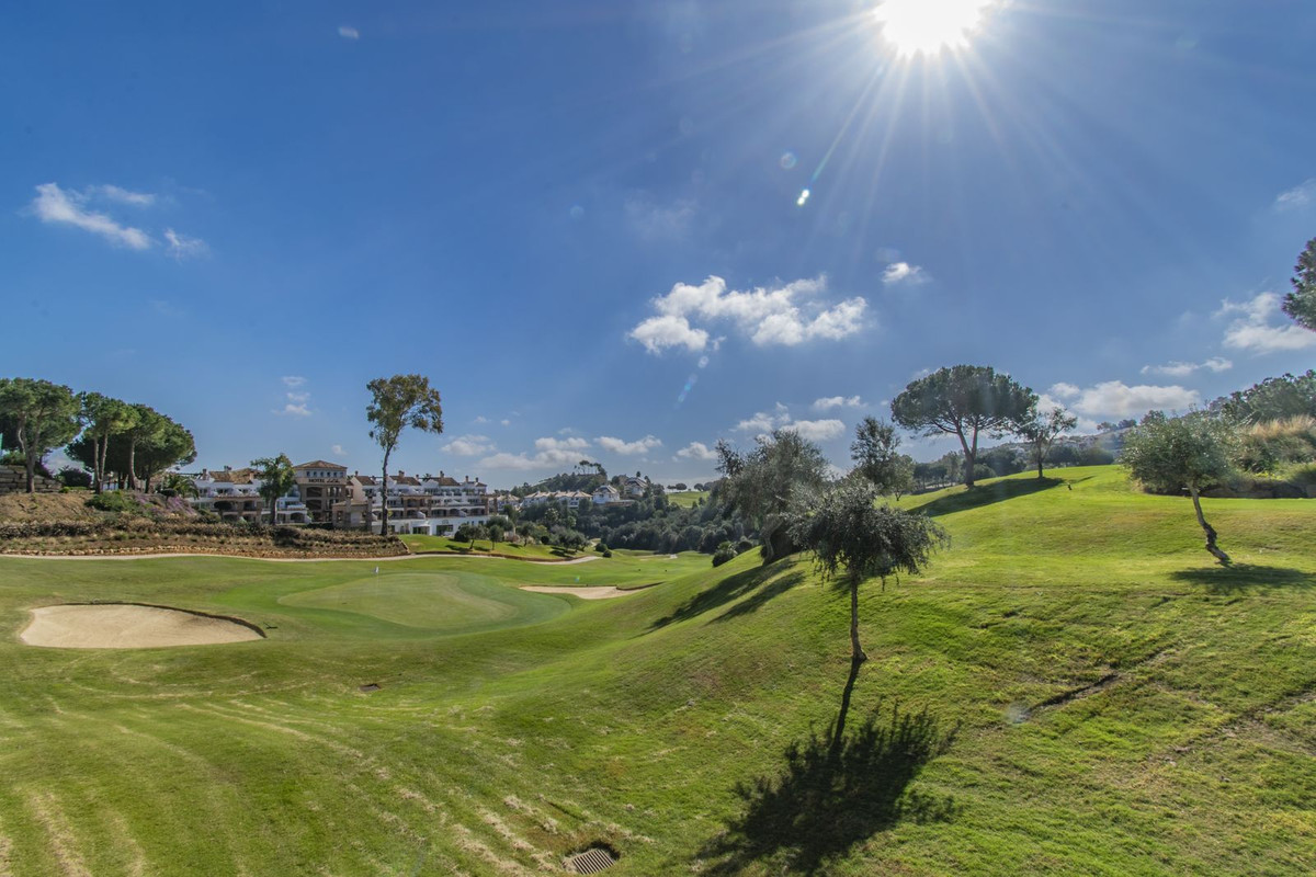 Property main view 43