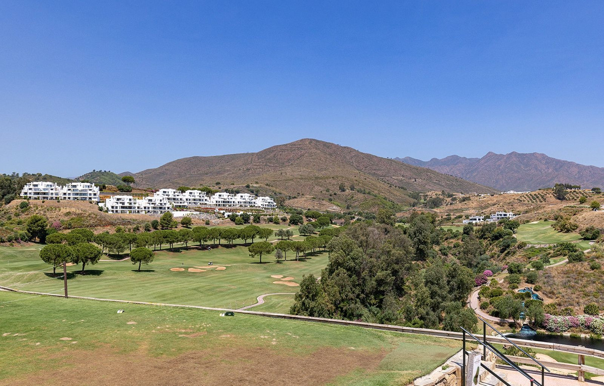 Property main view 50