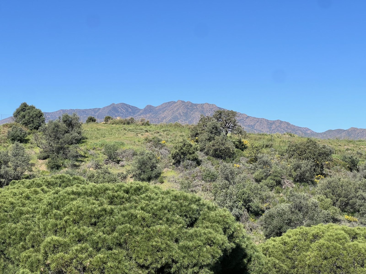 Property main view 29