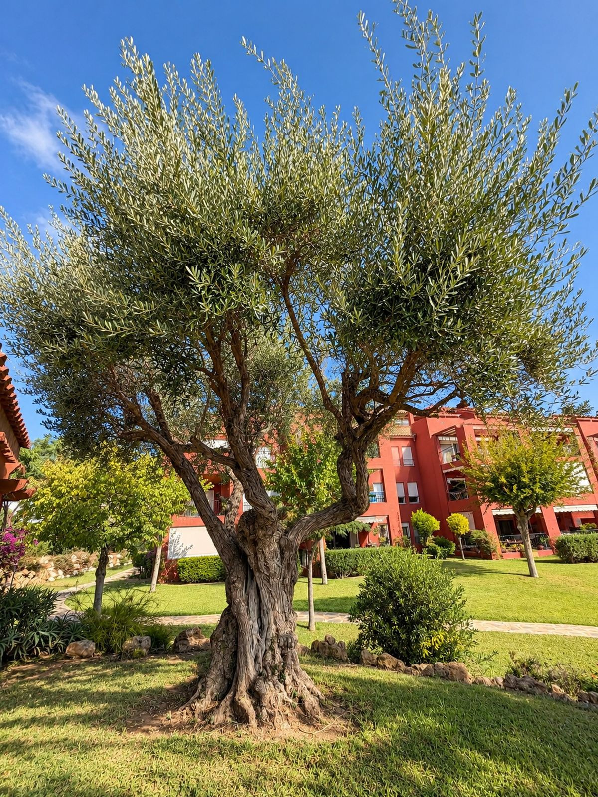 Property main view 30