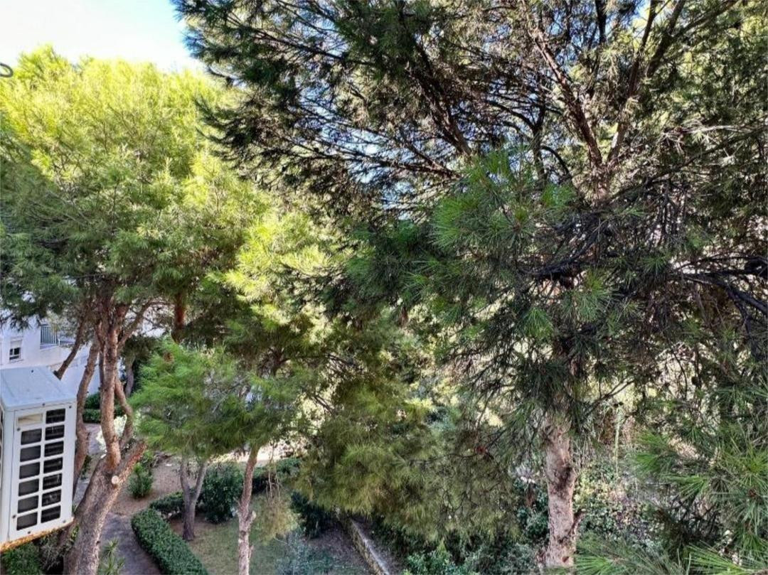 Property main view 37