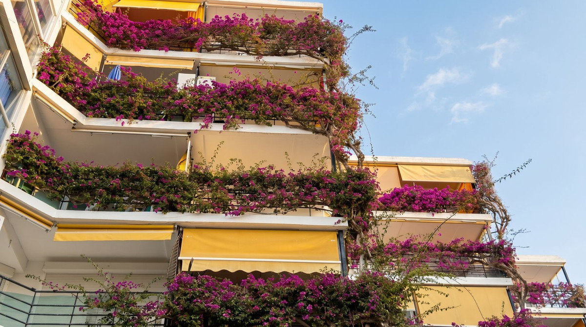 Property main view 13