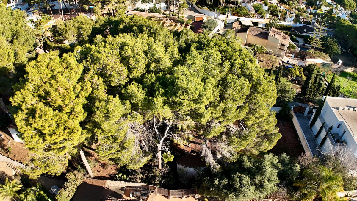 Property main view 15