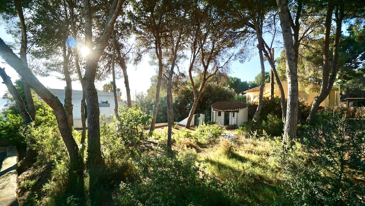 Property main view 2