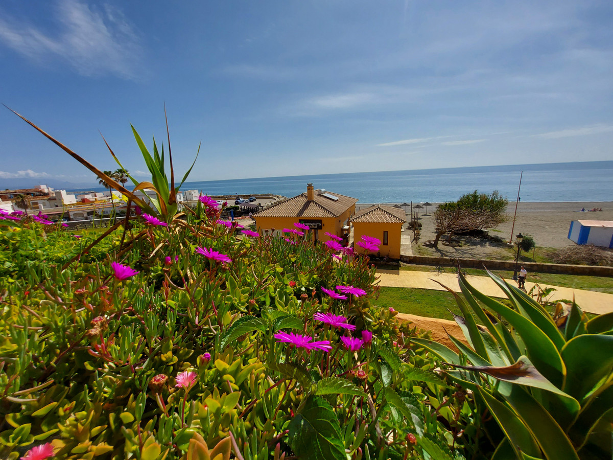 Property main view 31