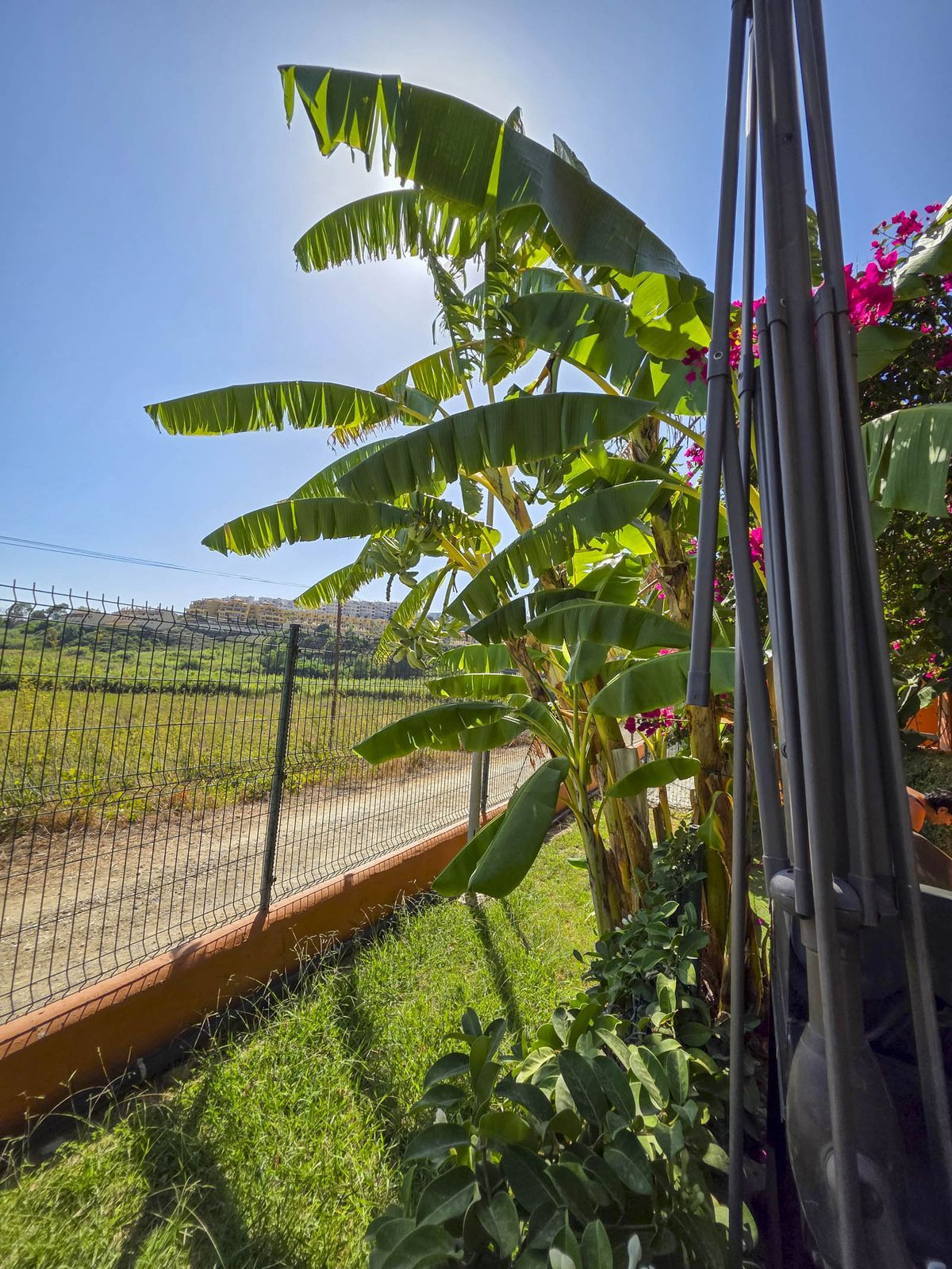 Property main view 50