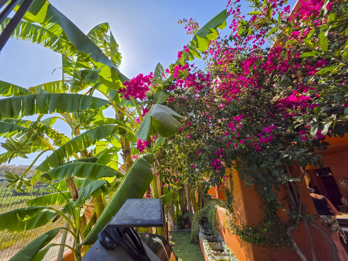 Property main view 53