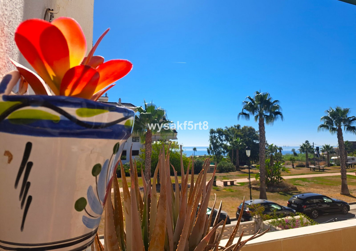 Property main view 2