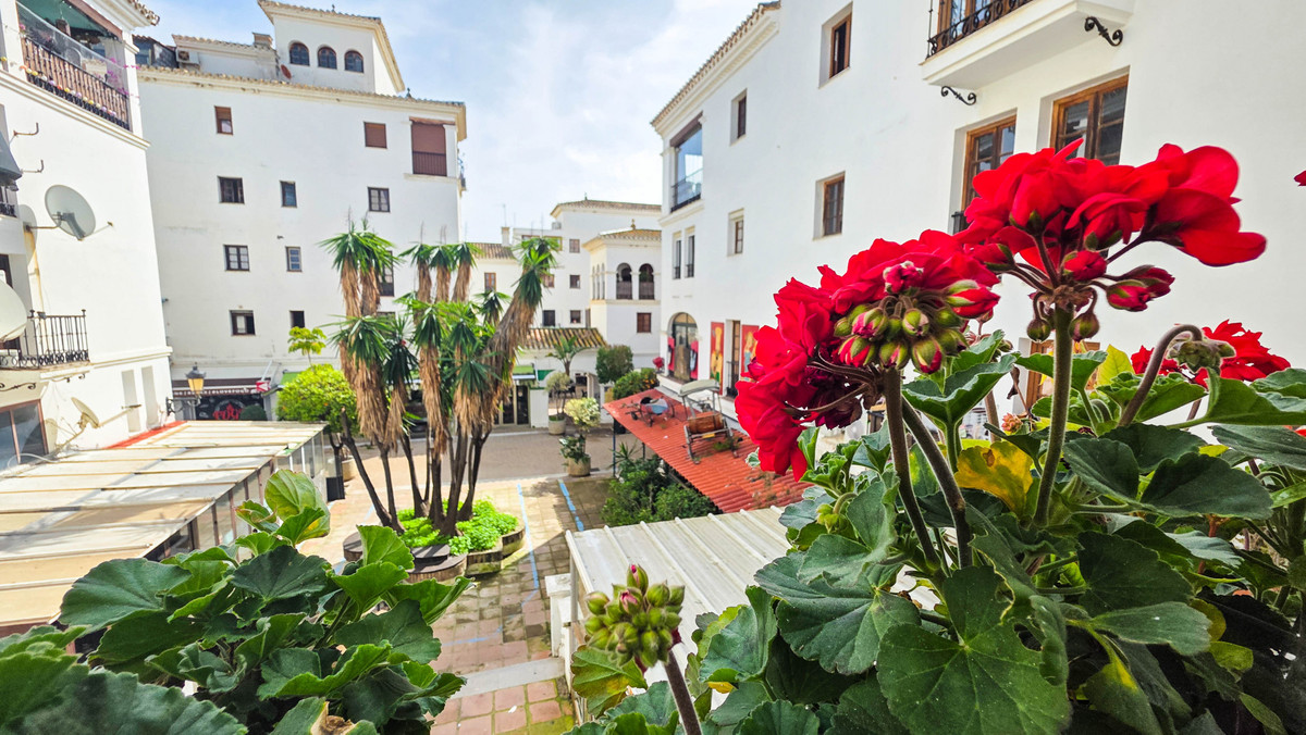 Property main view 6