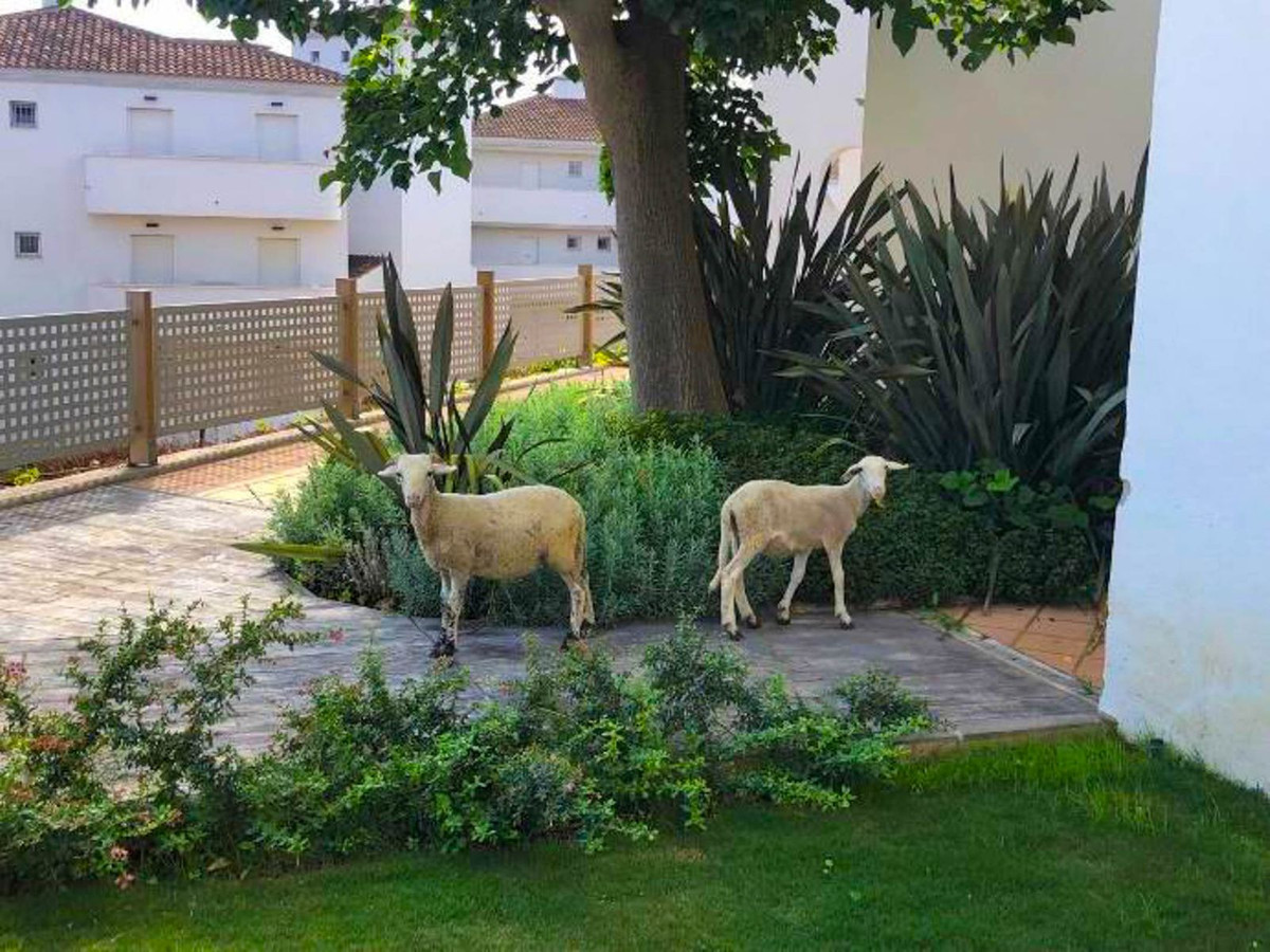 Property main view 23