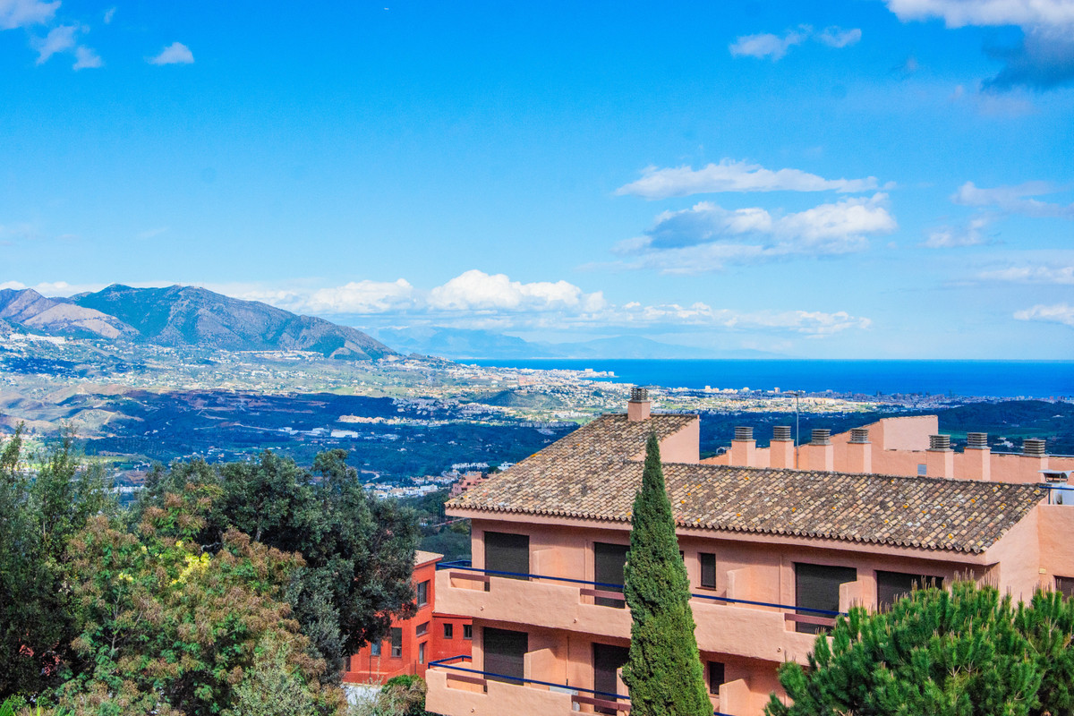 Property main view 39