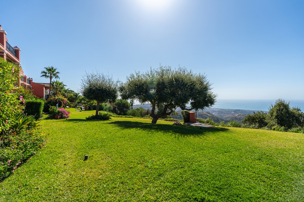 Property main view 20