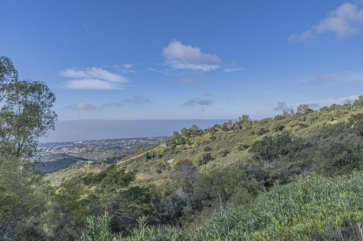 Property main view 24