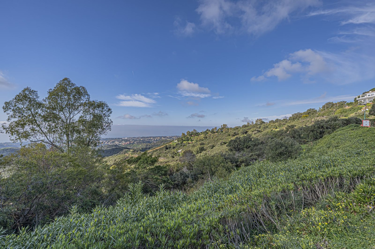 Property main view 29