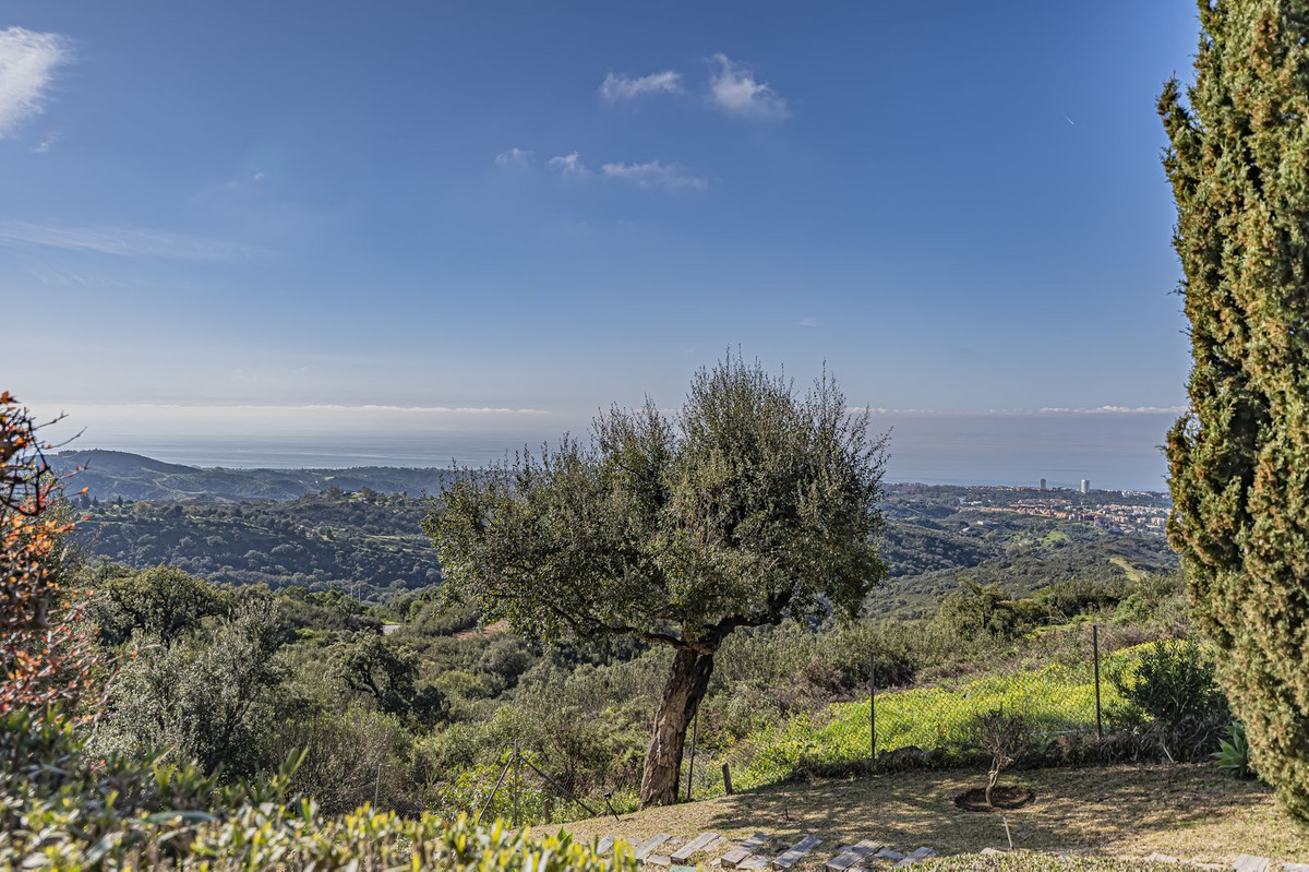 Property main view 33