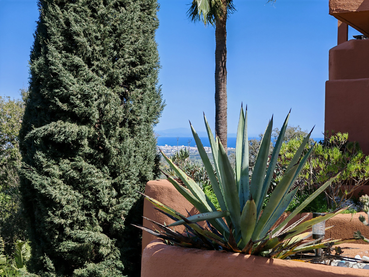 Property main view 25