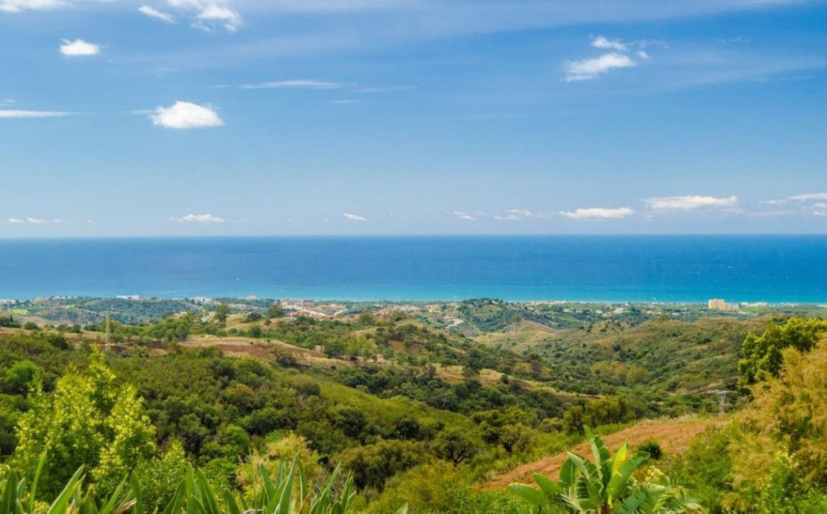 Property main view 24