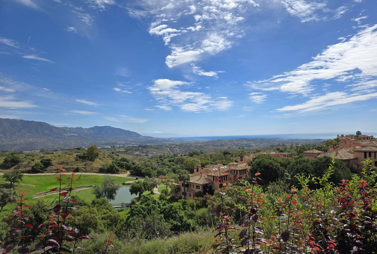 Property main view 43